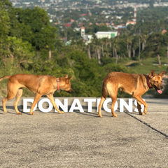 K9 Boys Donations